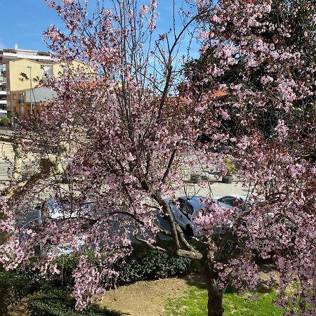 Apartamento Dacosta Пласенсия Экстерьер фото